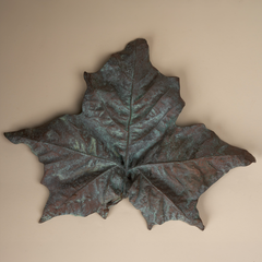 FOUND Collection Cast Bronze Sycamore Leaf