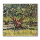 Vintage Impasto Oil Painting of Tree, Newly Framed