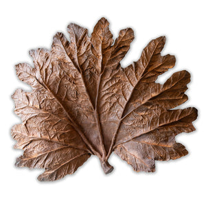 Gunnera Leaf Sculpture in Rust