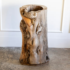 Tall Wooden Planter from a Root, Belgium