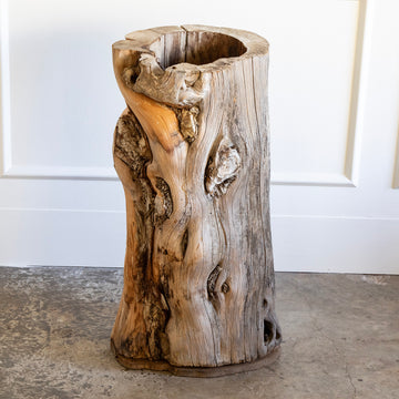 Tall Wooden Planter from a Root, Belgium