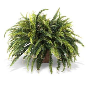 Large Faux Forest Fern