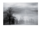Fog Mist Landscape Print on Acrylic