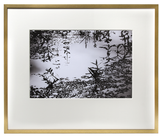 The Pond #5 by Karen Sachar