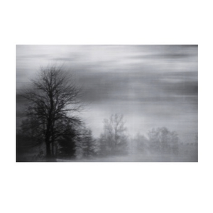 Fog Mist Landscape Print on Acrylic