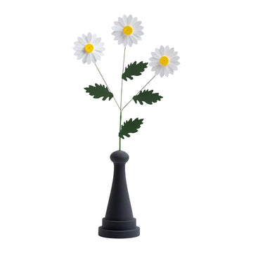 Daisy Flower