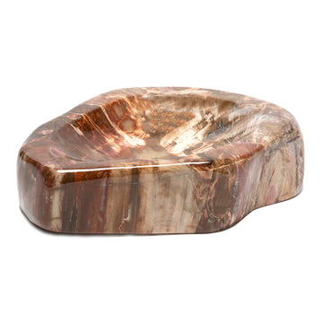 Deep Toned Petrified Wood Bowl